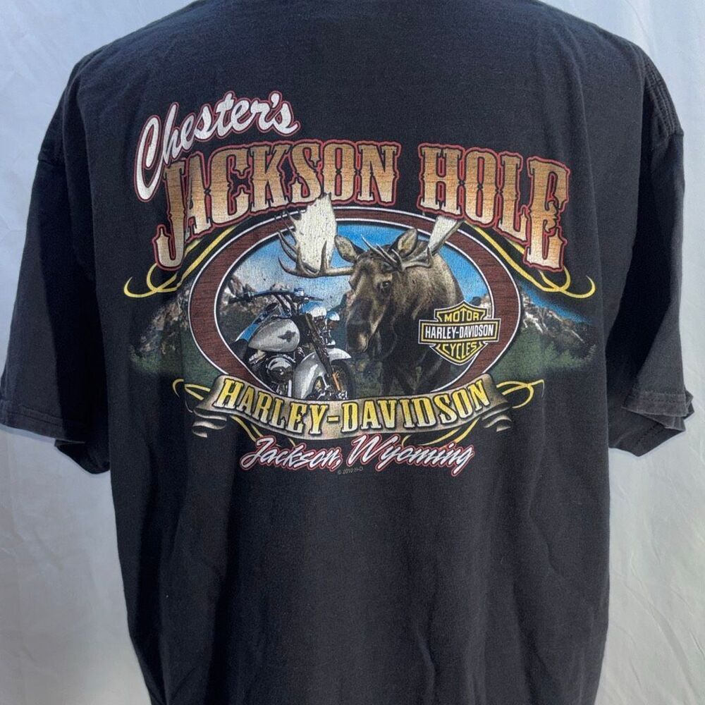 Vintage HARLEY DAVIDSON T SHIRT CHESTERS JACKSON HOLE HD WY XL 2 sided 2010